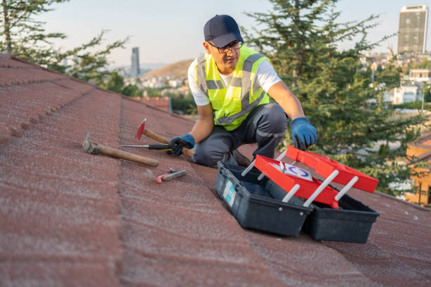 Professional Siding in Rio Rico, AZ